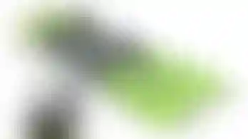 Alquiler de equipo completo de esquí infantil