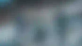 Curso esquí adultos fechas especiales. 10h a 13h.