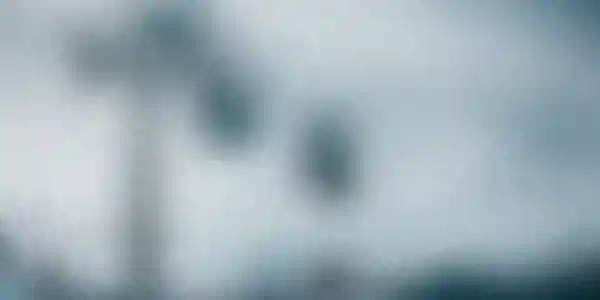 Clases Particulares de Snowboard