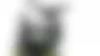 Alquiler de botas de esquí infantil